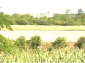Летом на природе с блондинкой занимаются сексом
